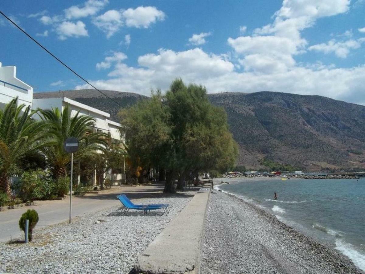 Luxury Seafront House Nearby Delphi Διαμέρισμα Kirra Εξωτερικό φωτογραφία